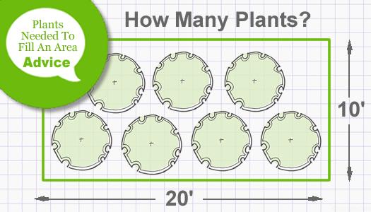 Plant Calculator