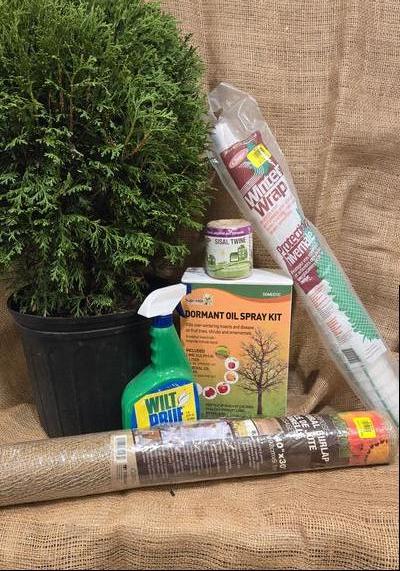 PROTECTING YOUR PLANTS, FROM THE HARSH WINTER WINDS!