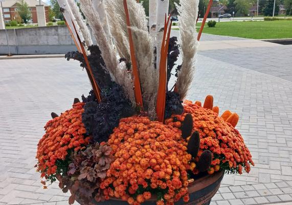 Fall Planter 3