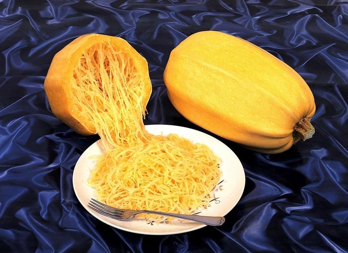 Squash Spaghetti 