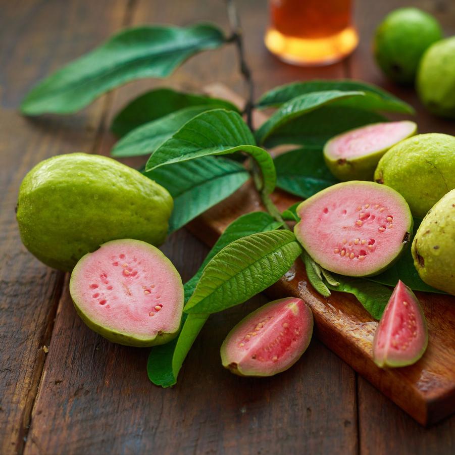 Guava 