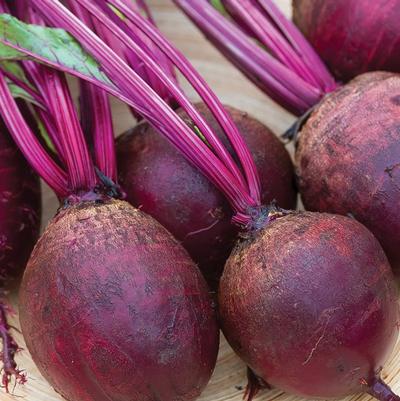 Beets 