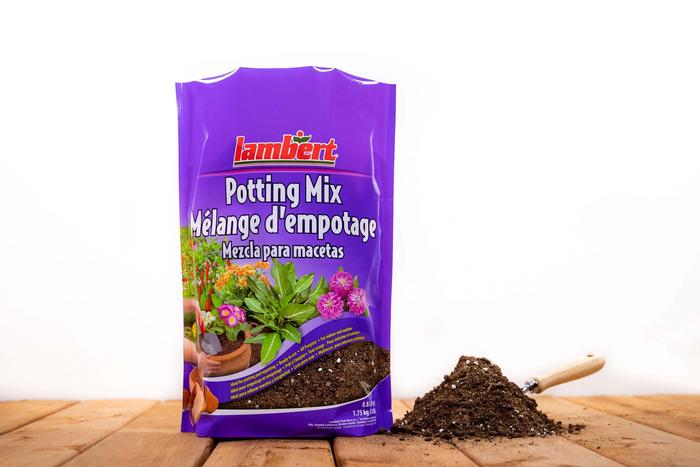 All Purpose Potting Mix (Lambert)