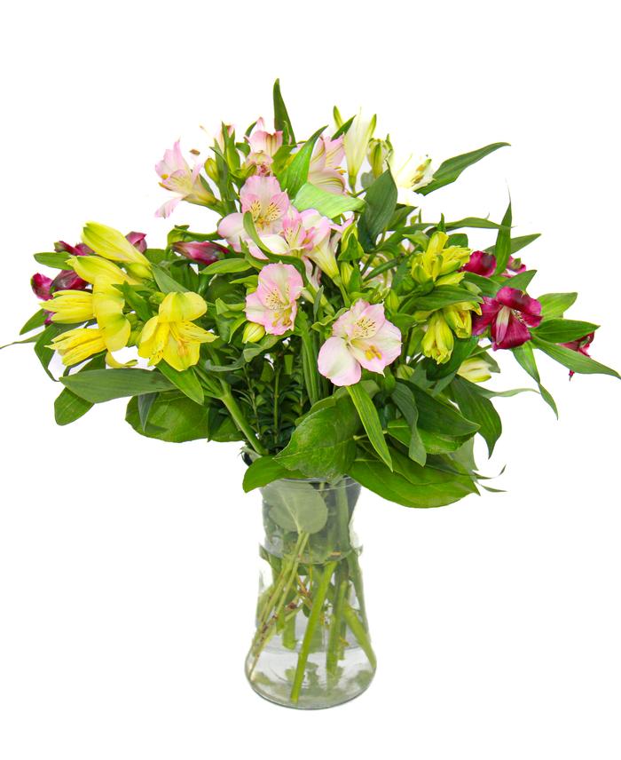 Assorted Alstroemeria Arrangment