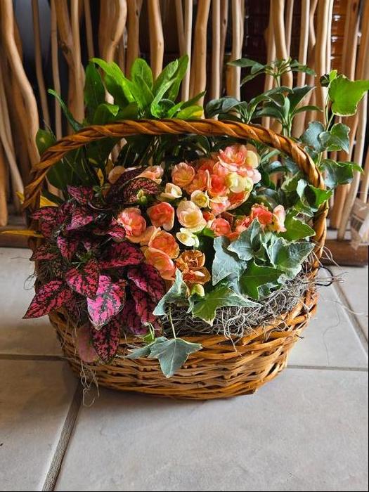 Tropical Flowering Garden Basket