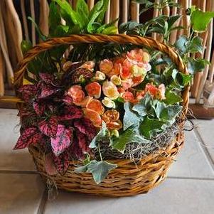 Tropical Flowering Garden Basket