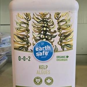 Kelp Fertilizer Organic