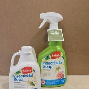 Insecticidal Soap Spray