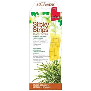 Sticky Strips