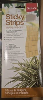 Sticky Strips Traps 5pk Safers