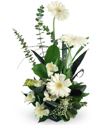 Sympathy and Funeral