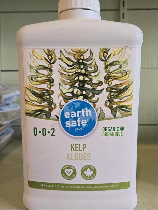 Kelp Fertilizer Organic