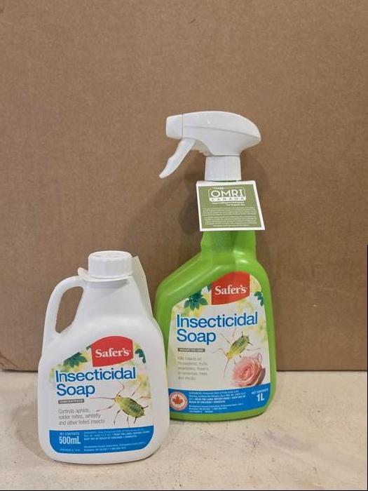 Insecticidal Soap Spray