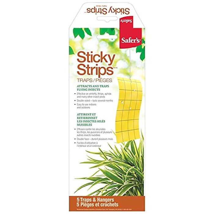 Sticky Strips
