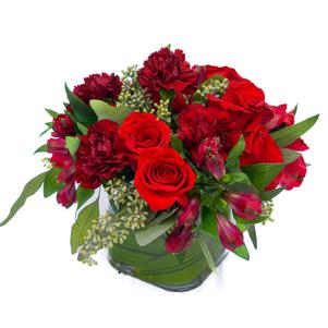 Red Passion Red Passion