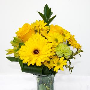 Yellow Madness Yellow Madness