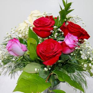 Rosey Fun Rosey Fun
