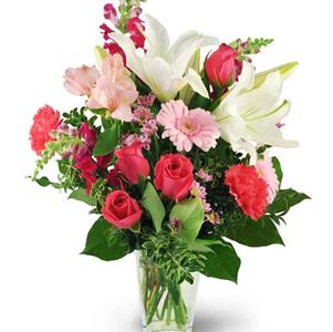 Blushing Pink Blushing Pink