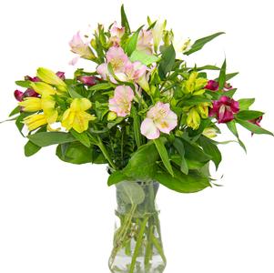 Assorted Alstroemeria Arrangment Assorted Alstroemeria Arrangment