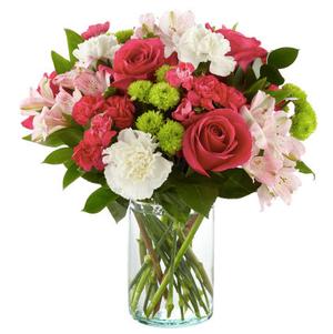 Blush of Love Blush of Love