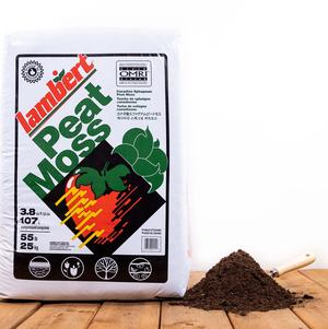 Peat Moss  Peat Moss